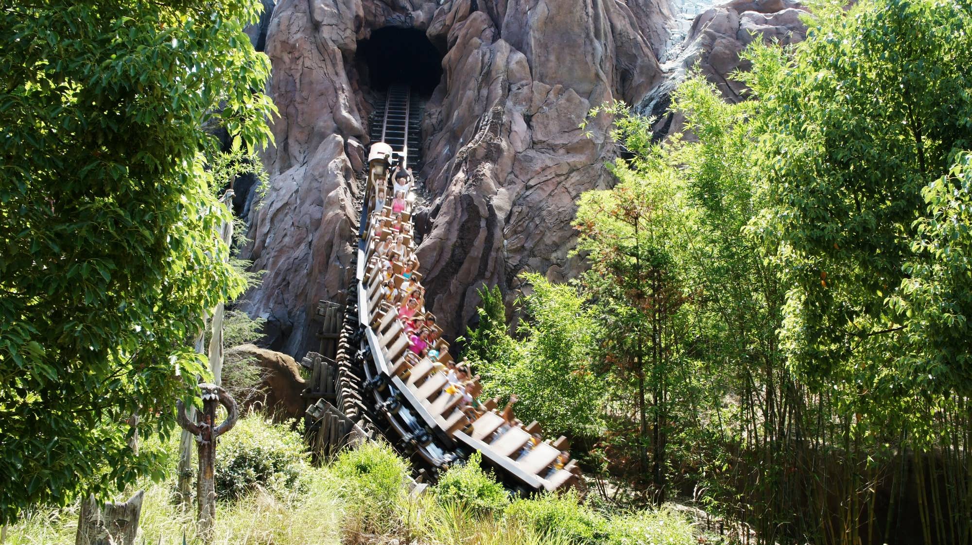 Thrills and Pixie Dust: Attractions vs. Rides at Disney World