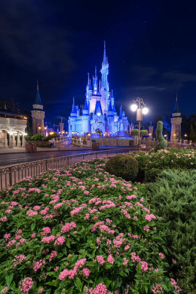 Cinderella Castle at night at Magic Kingdom