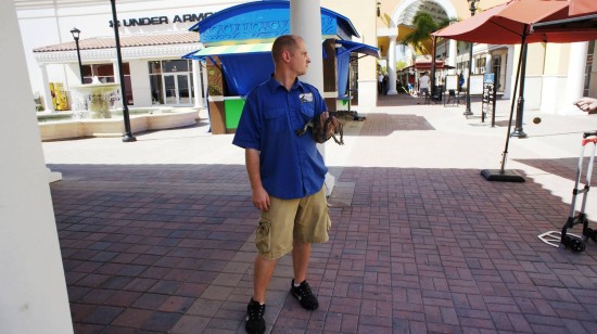 Orlando Premium Outlets International Drive: And a gator from GatorLand.