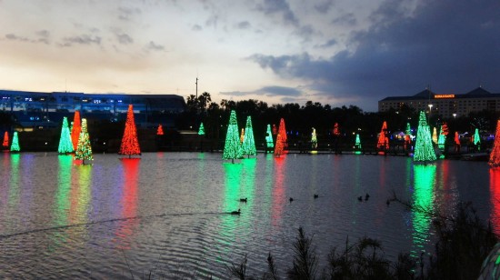 SeaWorld's Christmas Celebration 2011: Sea of Trees.