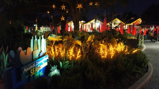 SeaWorld's Christmas Celebration 2011: Decorations in the SEAGarden.