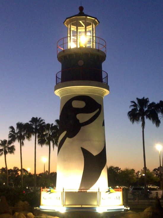 A datenight guide to SeaWorld Orlando.
