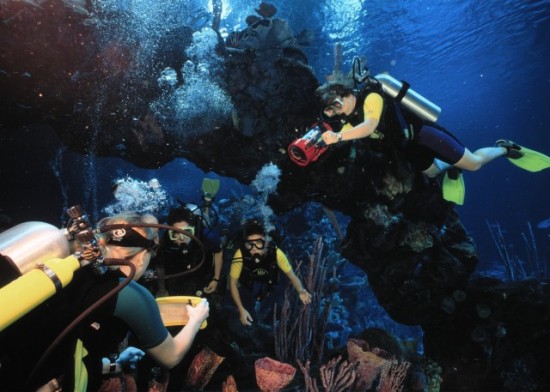 Walt Disney World: Take the ultimate dive.