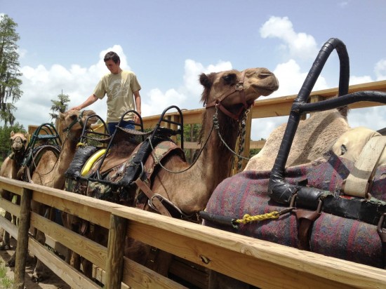 Safari Wilderness Ranch.