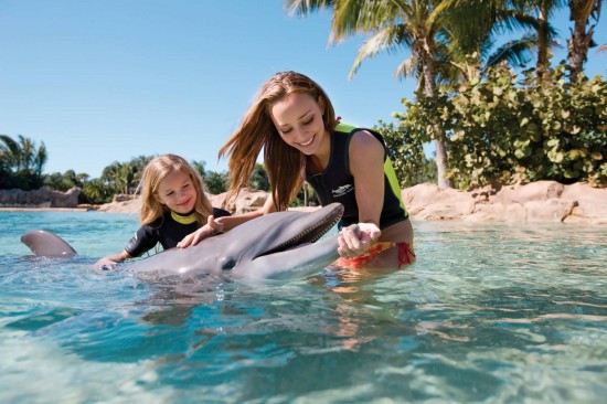 Discovery Cove at SeaWorld Orlando.