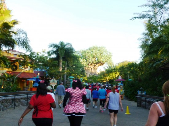 Jingle Jungle 5K at Disney's Animal Kingdom.