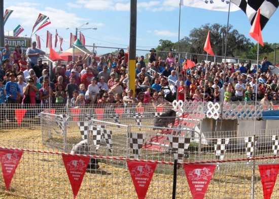 Florida Strawberry Festival.