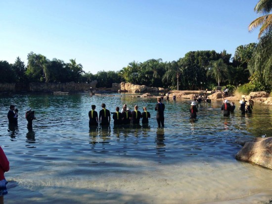 Discovery Cove at SeaWorld Orlando.