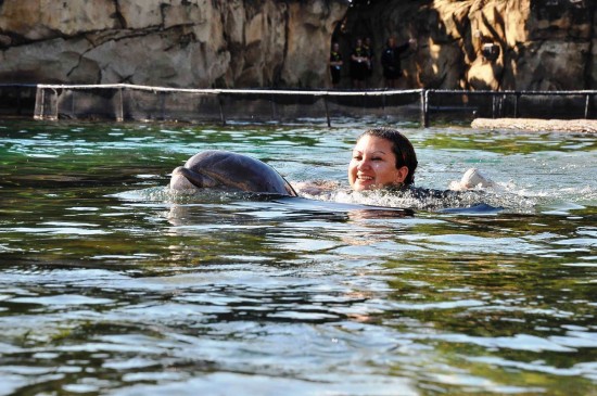 Discovery Cove at SeaWorld Orlando.