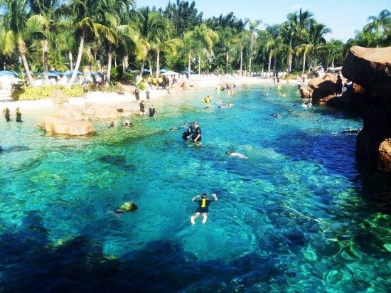 Discovery Cove at SeaWorld Orlando.