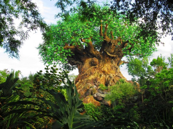 Disney's Animal Kingdom.