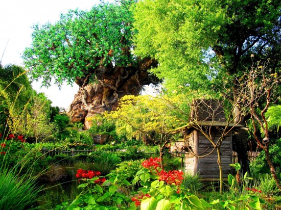 Disney's Animal Kingdom.