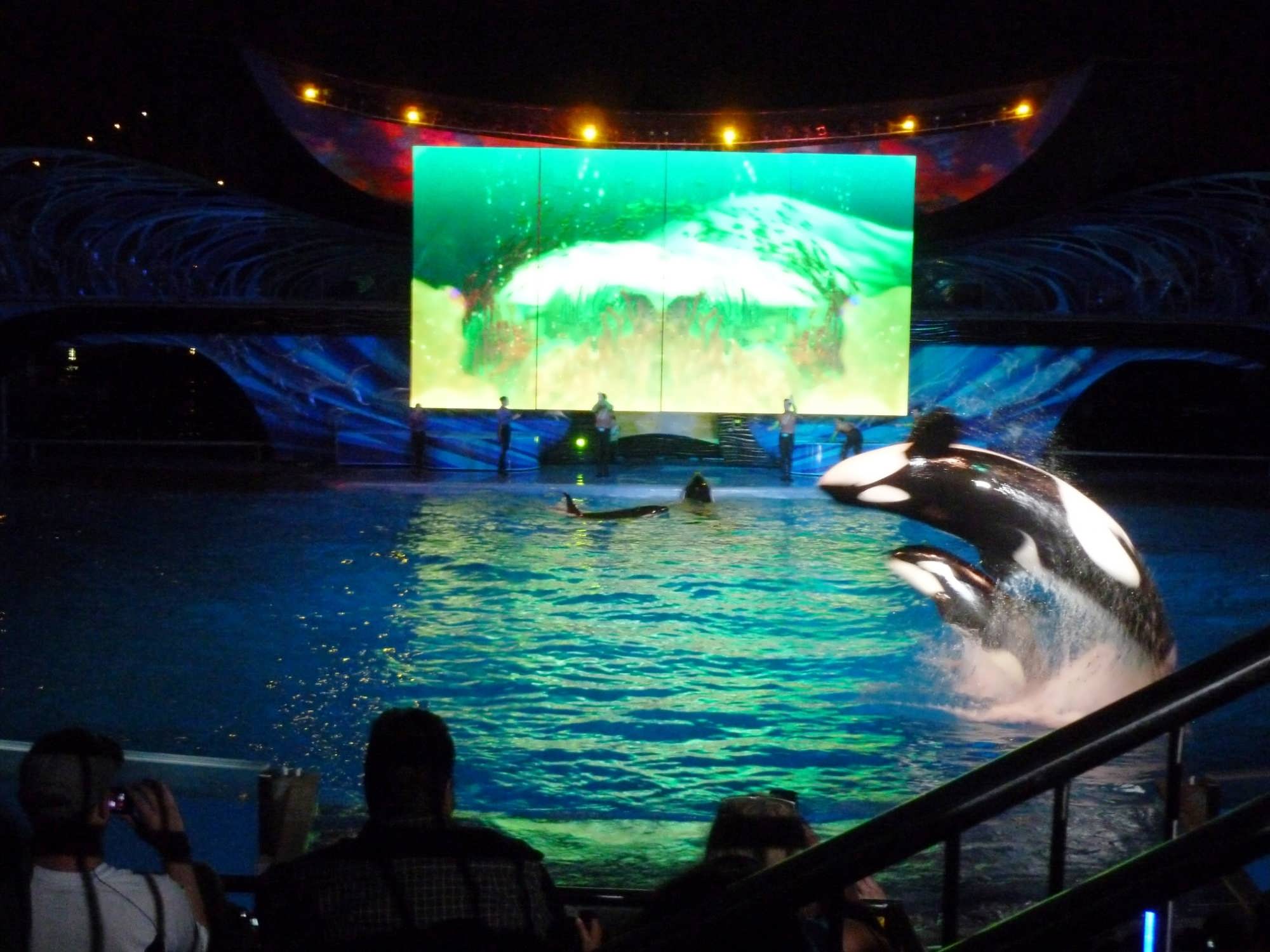 SeaWorld’s Summer Nights 2013 kicks off: Bring the whole family for a ...