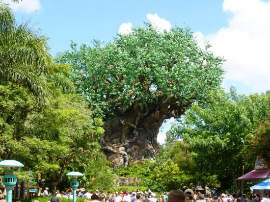 Disney's Animal Kingdom trip report - September 2013.