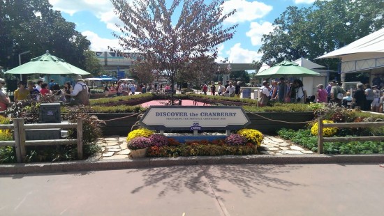 2013 Epcot International Food & Wine Festival.