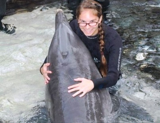 Marine Mammal Keeper Experience at SeaWorld Orlando.