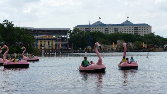 SeaWorld Orlando.