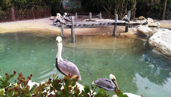 Key West at SeaWorld Orlando.