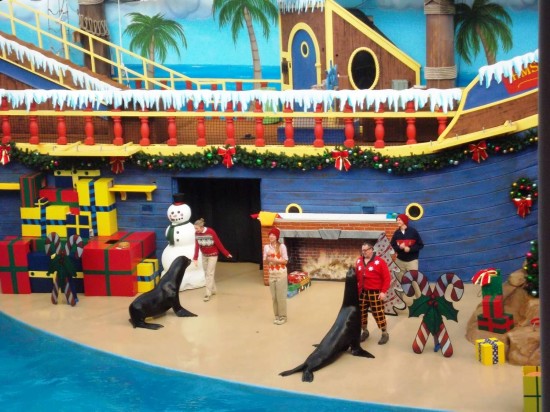 SeaWorld Orlando Christmas Celebration 2013.