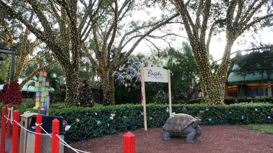 Busch Gardens Tampa - December 2013.