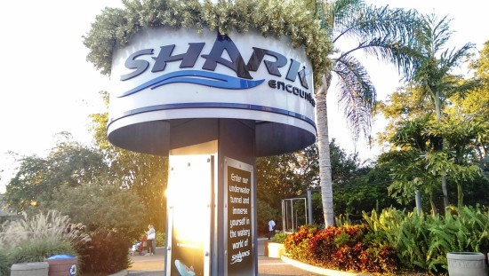 Shark Encounter at SeaWorld Orlando.