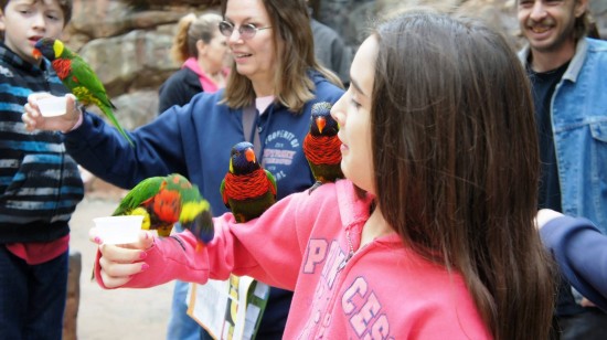 Busch Gardens Tampa - January 2014.