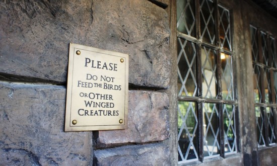 Wizarding World of Harry Potter - Hogsmeade.