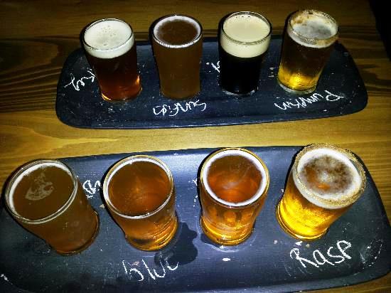 Beer samples at Sea Dog Brew Pub.