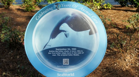 SeaWorld's Sea of Surprises.