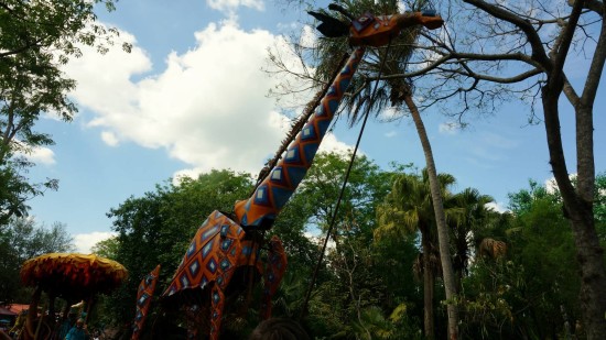 Animal Kingdom - April 2014.