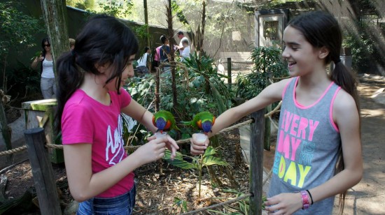 Busch Gardens Tampa - April 2014.