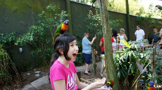 Busch Gardens Tampa - April 2014.