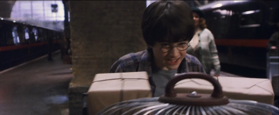 Harry on Platform 9 3/4