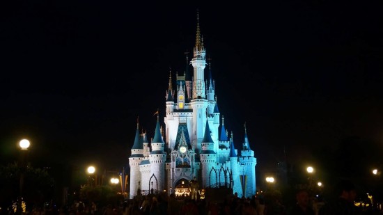 Magic Kingdom - May 2014.