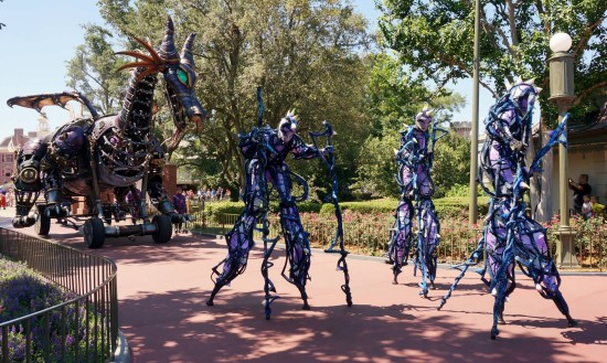 Magic Kingdom - May 2014.