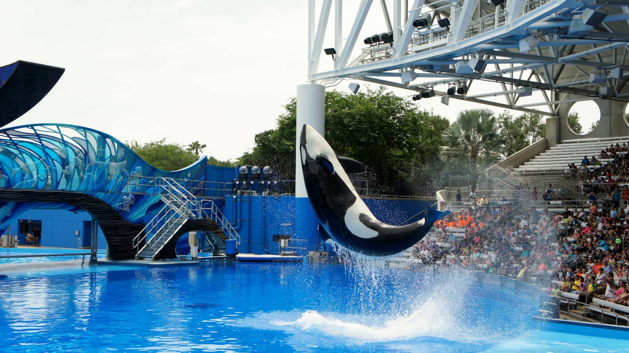 SeaWorld Orlando Trip Report May 2014 a New Way To Experience 