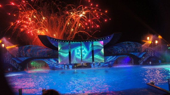 SeaWorld's new summer shows.