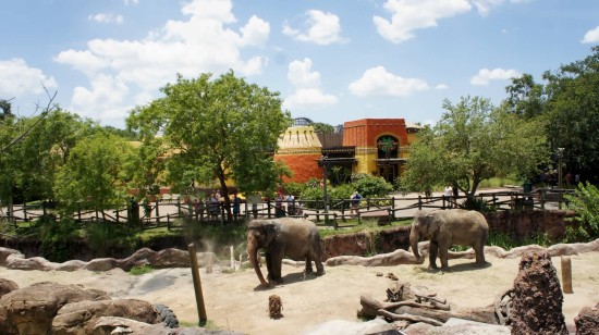 Busch Gardens Tampa - July 2014.