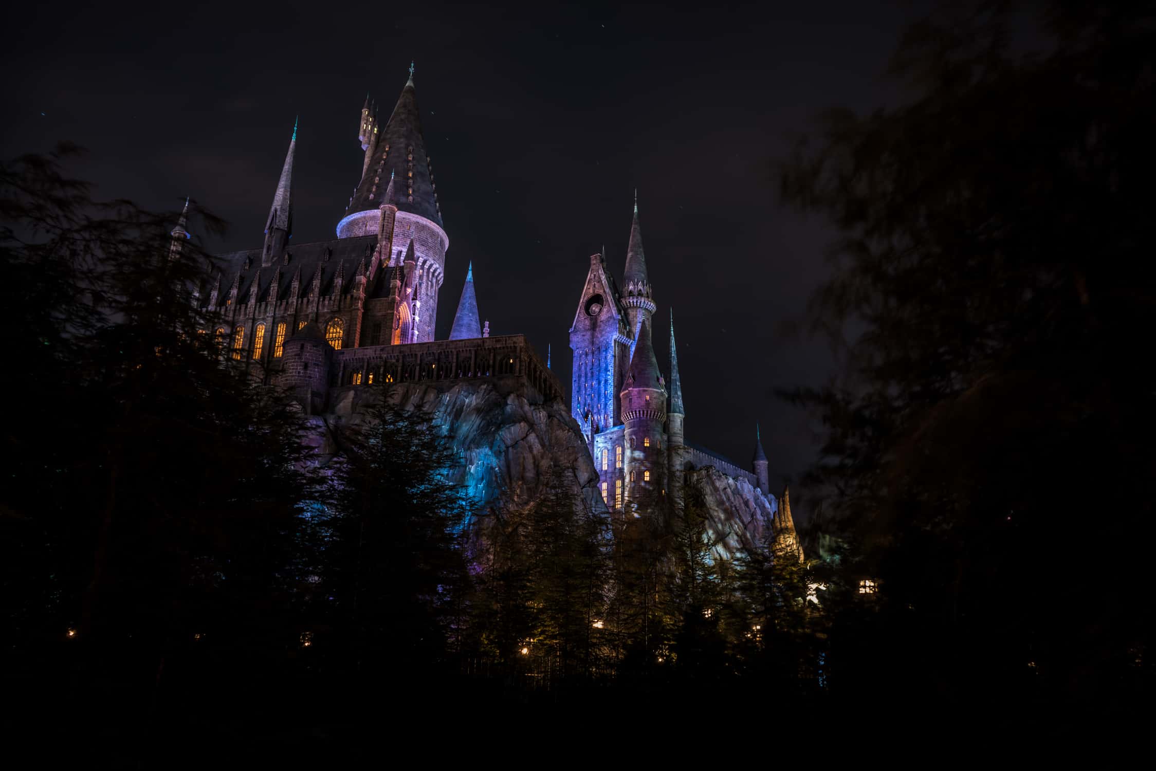 Harry Potter and the Forbidden Journey ultimate unofficial guide