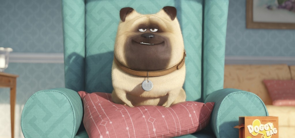 The Secret Life of Pets - Rumor Round-Up for January 22, 2016