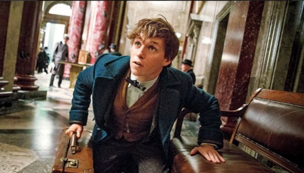 Newt Scamander