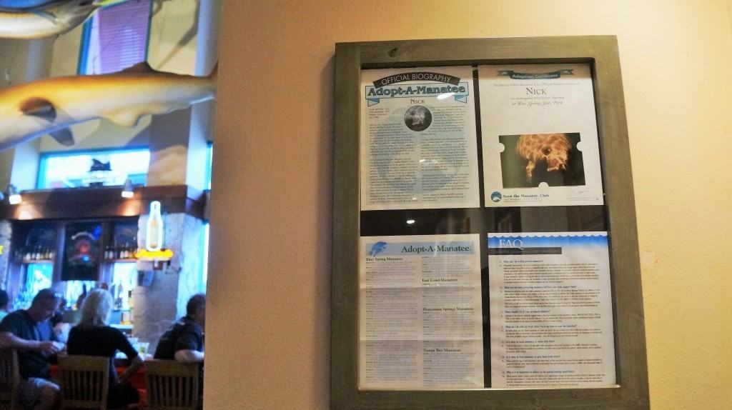 Adopt a Manatee certificate found near the Landshark Bar at Margaritaville