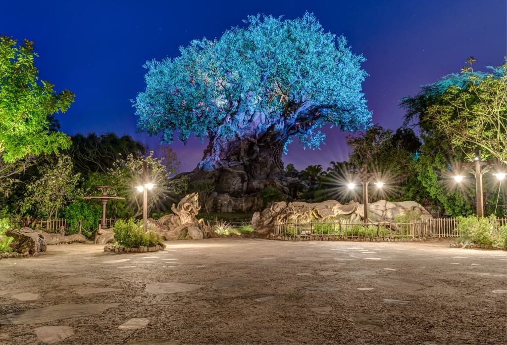 8 Unique Photos of an Empty Animal Kingdom at Night