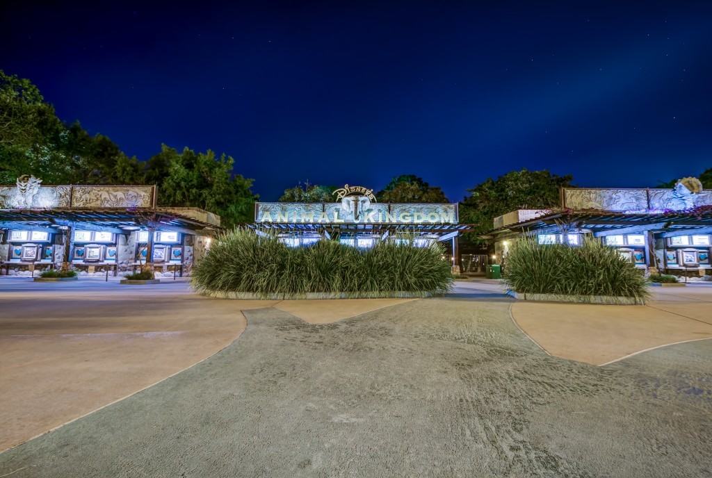 Entrance at Disney's Animal Kingdom