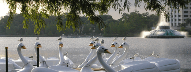 Swan Boat Rentals of Lake Eola