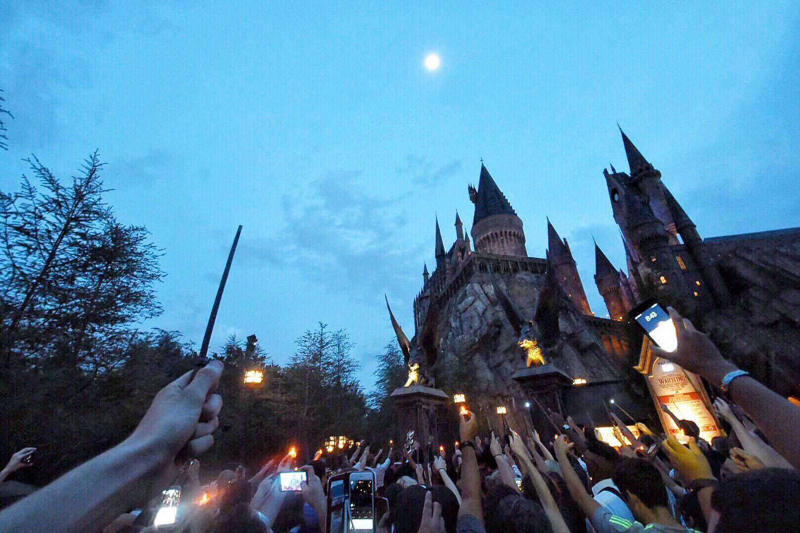 Wizarding world of harry