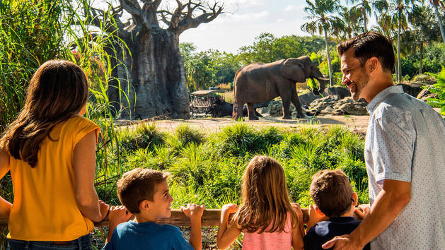 Caring for Giants at Disney's Animal Kingdom