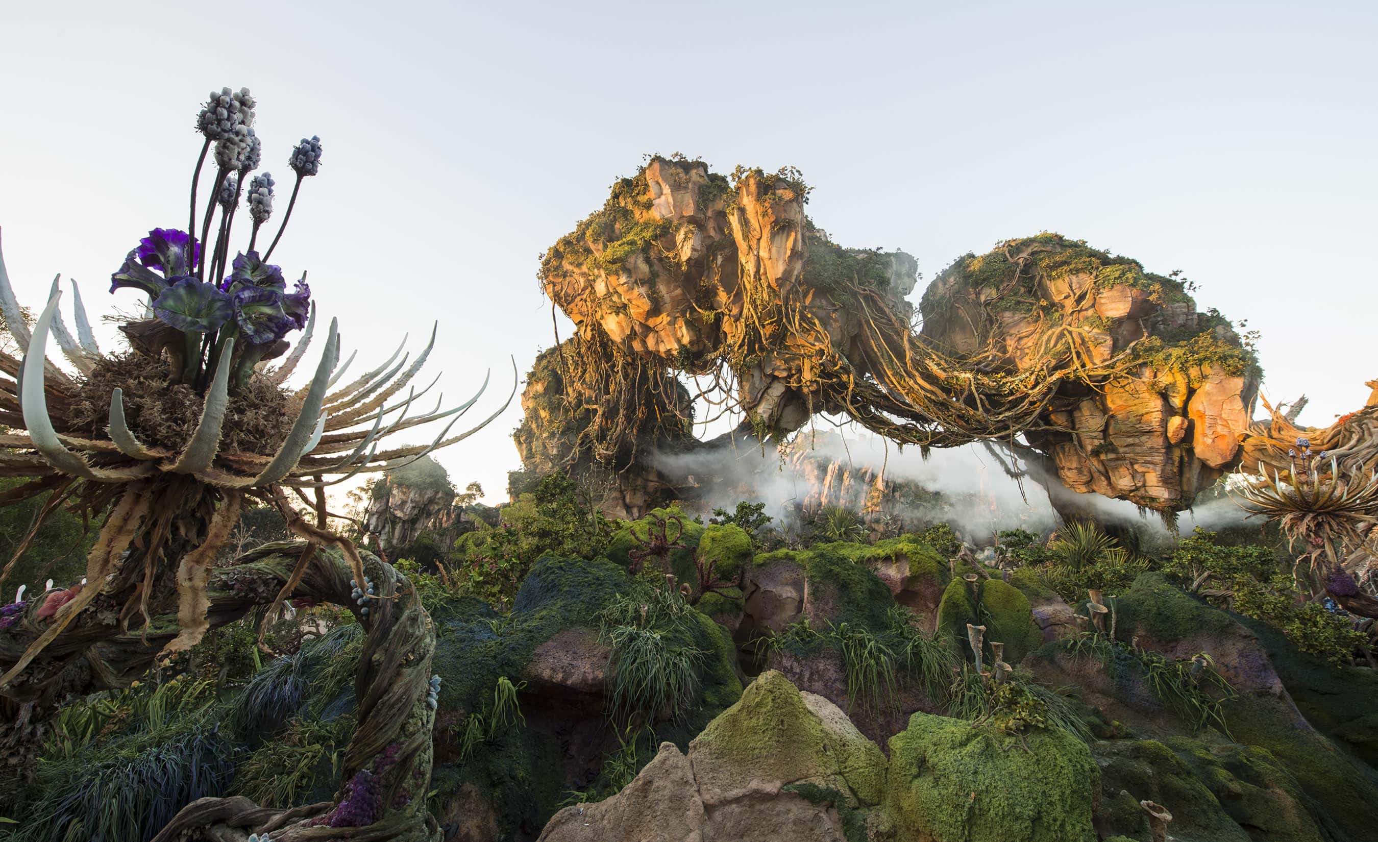 Pandora The World Of Avatar At Disney s Animal Kingdom Overview And 