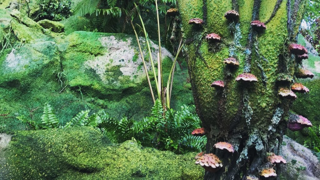 The beautiful alien plants in Pandora: The World of Avatar