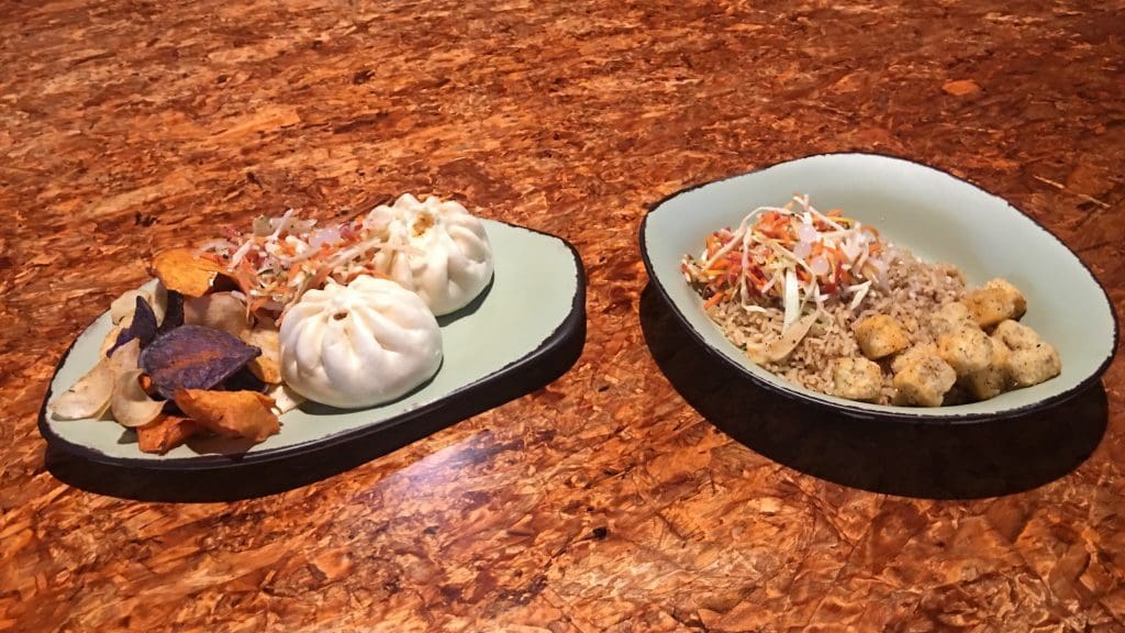 Hamburger pods and tofu bowl from Pandora: The World of Avatar